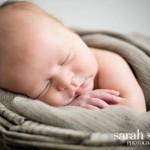 Newborn Baby and Family Photographer in Sydney's Sutherland Shire